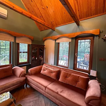 Villa Base Kirkpinar Detached With Pool Sapanca