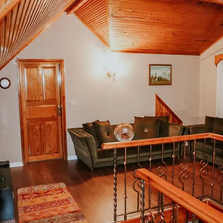 Base Kirkpinar Detached With Pool Villa Sapanca