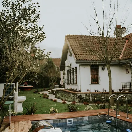 别墅 Base Kirkpinar Detached With Pool
