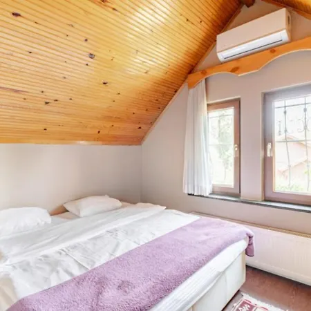 Villa Base Kirkpinar Detached With Pool Sapanca