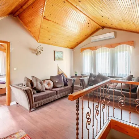 Villa Base Kirkpinar Detached With Pool Sapanca