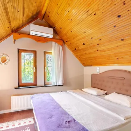 Base Kirkpinar Detached With Pool